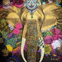 La grâce (2023, 1mx1m) éléphant-toile-ilmao