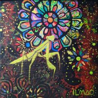 Mante religieuse (2023, 20x20cm) mante-toile-ilmao